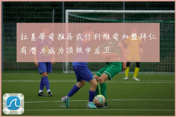 拉基蒂奇推荐武什科维奇加盟拜仁有潜力成为顶级中后卫