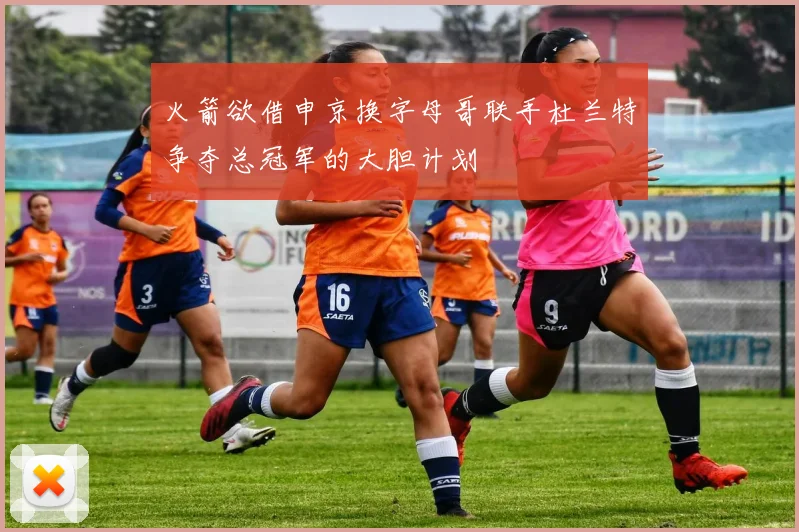 火箭欲借申京换字母哥联手杜兰特争夺总冠军的大胆计划