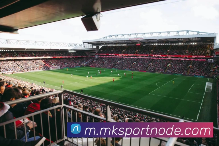 MK体育APP 封面图